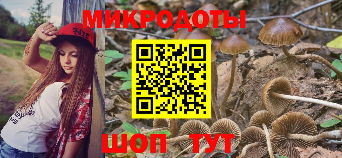 Галлюциногенные грибы Cubensis Югорск