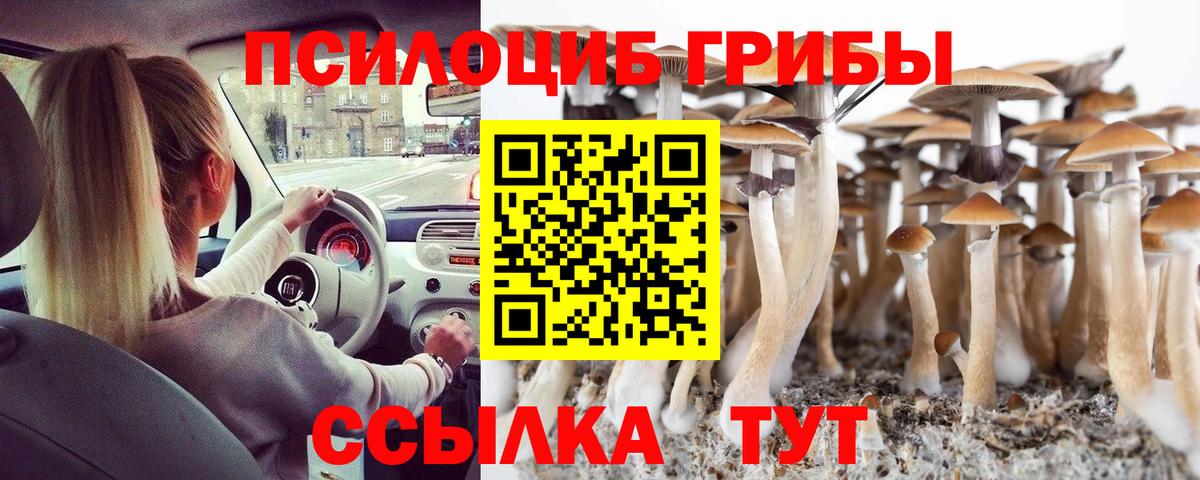 Югорск  Галлюциногенные грибы ЛСД  Галлюциногенные грибы Magic Shrooms  Вход с VPN 